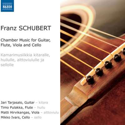 Chamber Music For Guitar, Flute, Viola And Cello