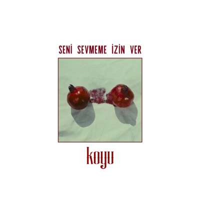 Seni Sevmeme İzin Ver