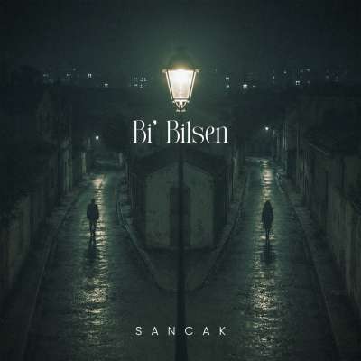 Bi Bilsen