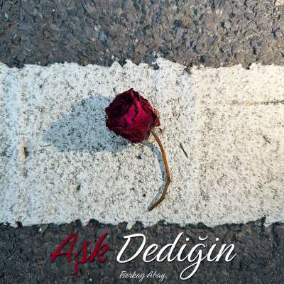 Aşk Dediğin