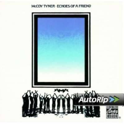 Echoes of a Friend