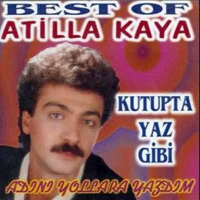 Kutupta Yaz Gibi