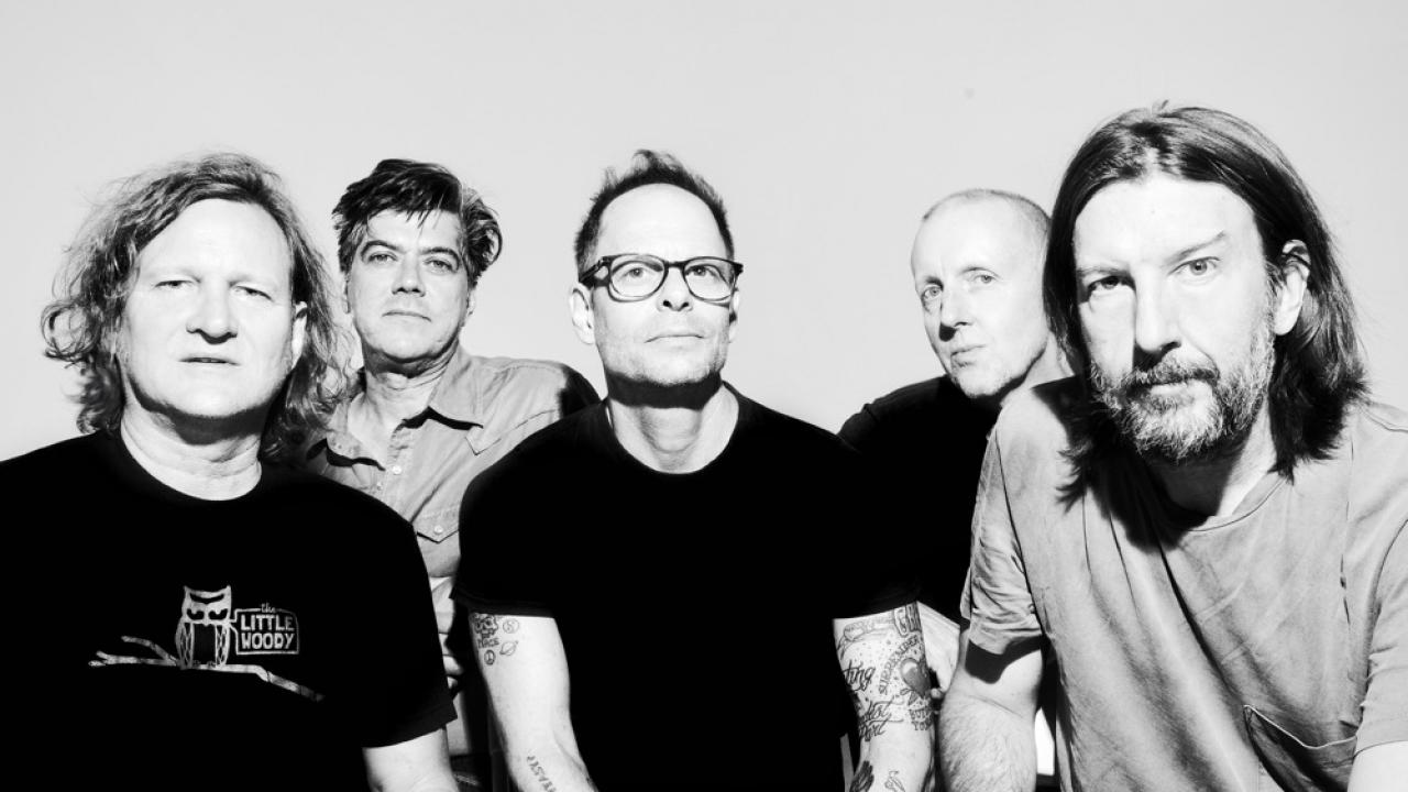 Gin Blossoms