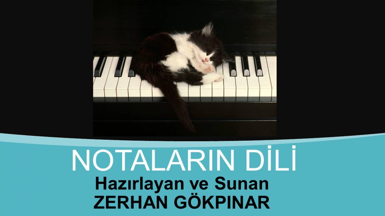 Zerhan Gökpınar