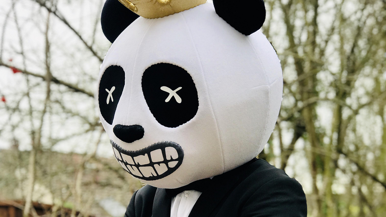 Kaizer Panda