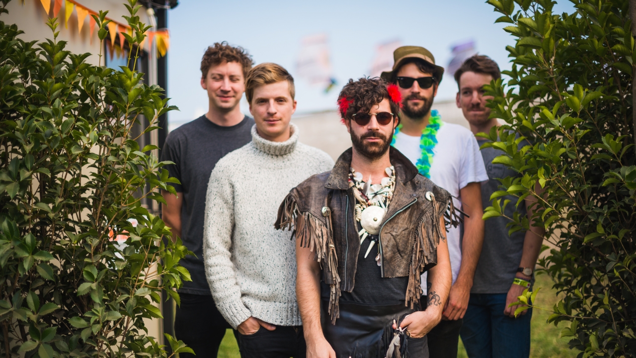 Foals