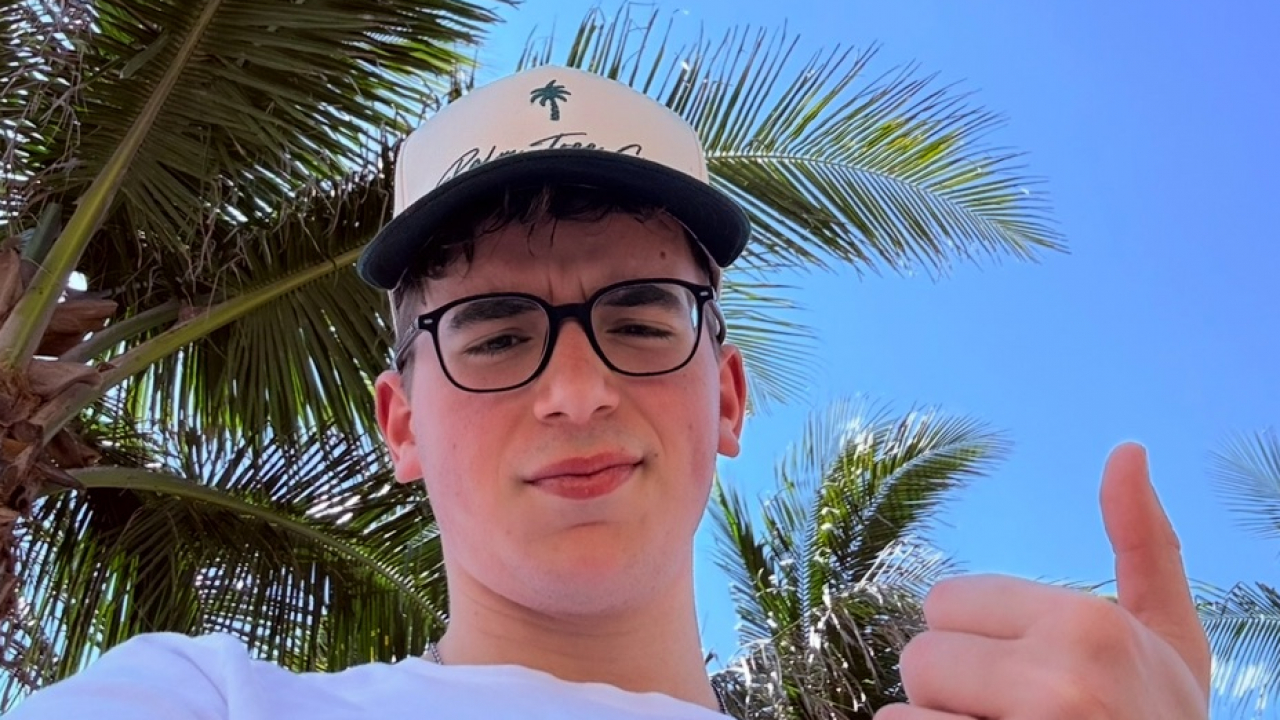 Palm Monkey