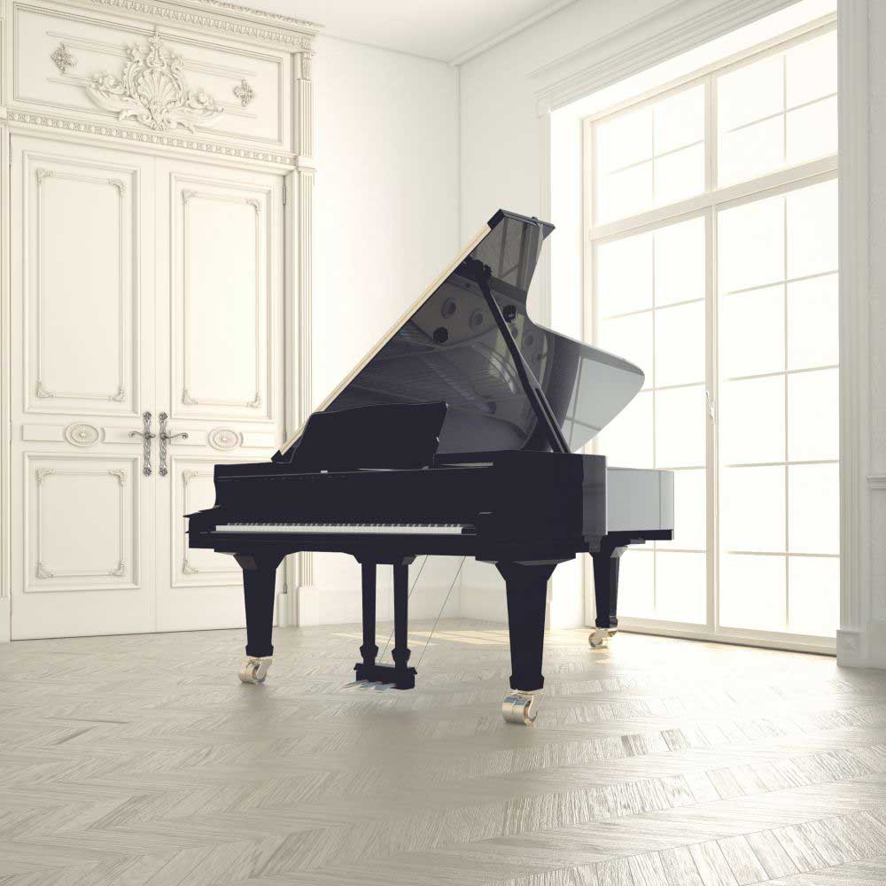 Mozart / Schubert - 2 Pianos